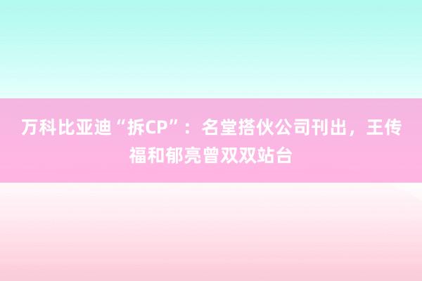 万科比亚迪“拆CP”：名堂搭伙公司刊出，王传福和郁亮曾双双站台