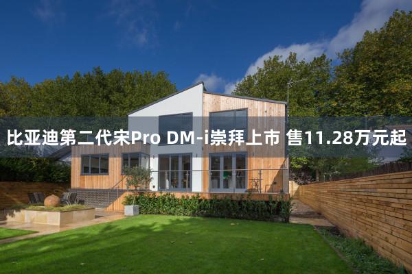 比亚迪第二代宋Pro DM-i崇拜上市 售11.28万元起