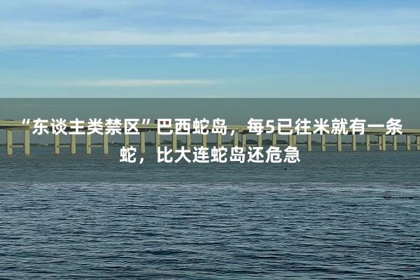 “东谈主类禁区”巴西蛇岛，每5已往米就有一条蛇，比大连蛇岛还危急