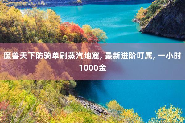 魔兽天下防骑单刷蒸汽地窟, 最新进阶叮属, 一小时1000金