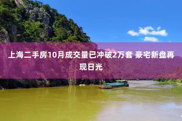 上海二手房10月成交量已冲破2万套 豪宅新盘再现日光