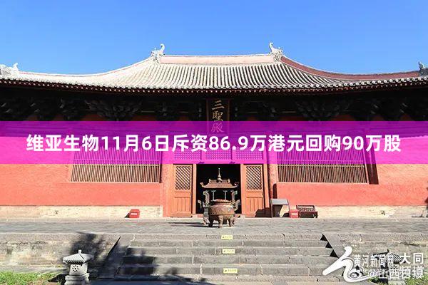 维亚生物11月6日斥资86.9万港元回购90万股