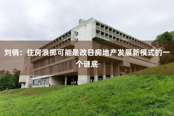 刘俏：住房浪掷可能是改日房地产发展新模式的一个谜底